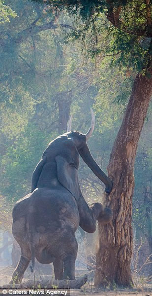 ��ͷ���������������Ҷ��Ȼ��ʼ��������