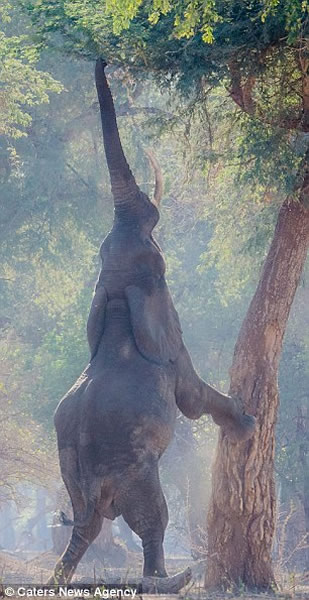 ��ͷ���������������Ҷ��Ȼ��ʼ��������