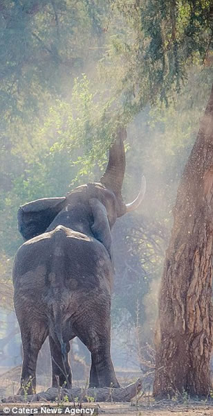 ����������֦ק����