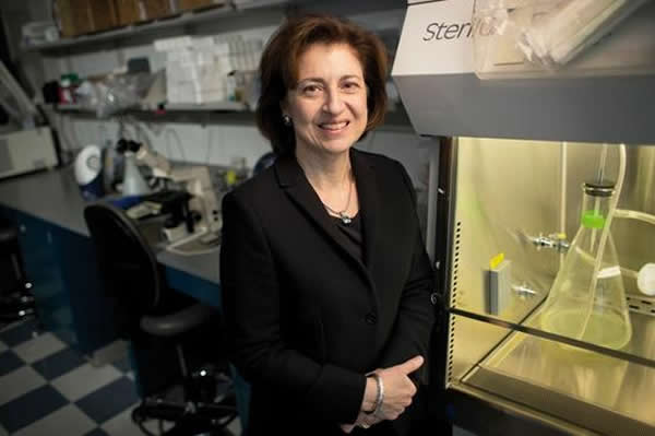 Suzanne Topalian������ᶨ�Ŀ�����ʿ(��֢�����Ʒ�)