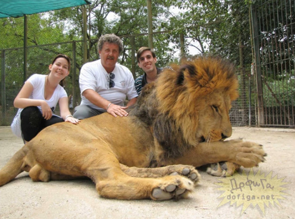 阿根廷动物园被控“迷昏”狮子逼与游客合照