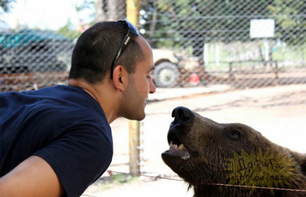 棕熊也是服务项目