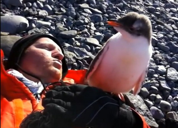 �����������ӵ��ϼ����Ρ����ˡ�С���