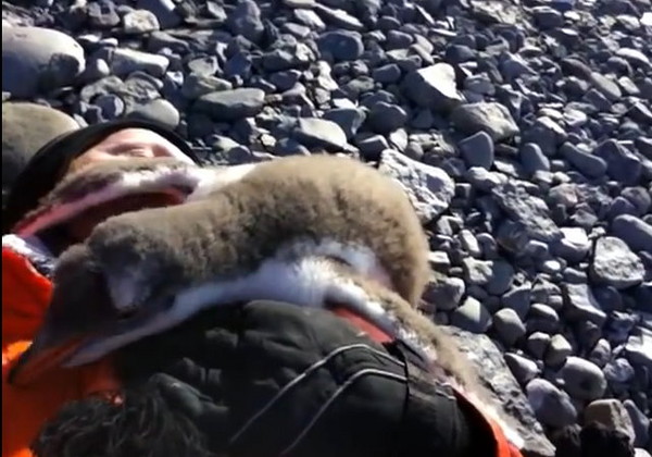 �����������ӵ��ϼ����Ρ����ˡ�С���