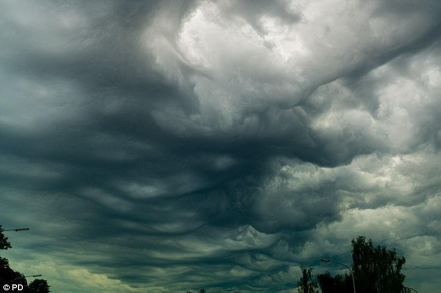 һֹ졢˸еƲ㣬ͨڷ籩֮ǰ״ƣҲŲ죬γǿʹƲֲ˺̬