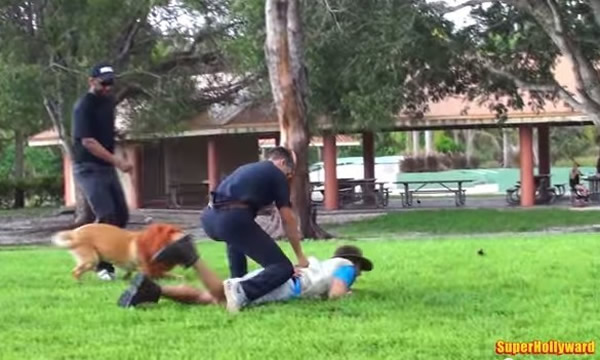 狗狗哀鸣:不要乱抓我的主人