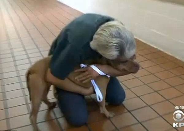 �ط�һ�̣�����ӵ����Ȯ��