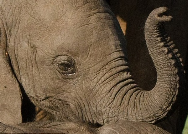 ����������¶���˵����顣