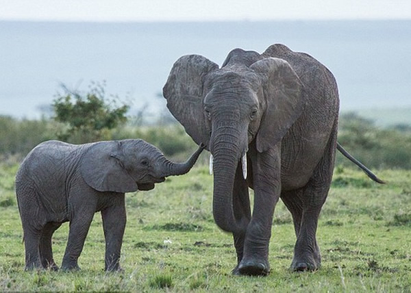 �����·�ǰ24Сʱ���������迪����Ϸ��