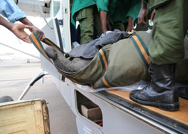 �����º������֯�������ޱ�һ��¶�Ժ������