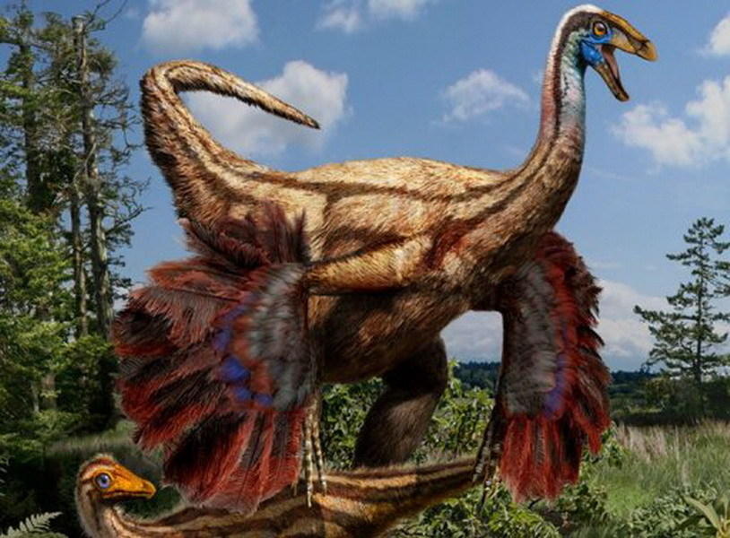 ������ν�����Ϊ����