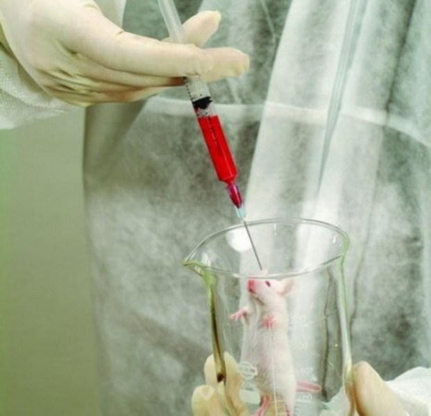 ������ѪҺ����ʵ�ġ��ഺ�����ء�