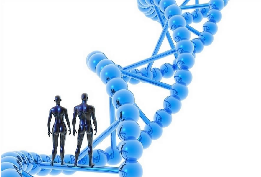 �����Ŵ��������