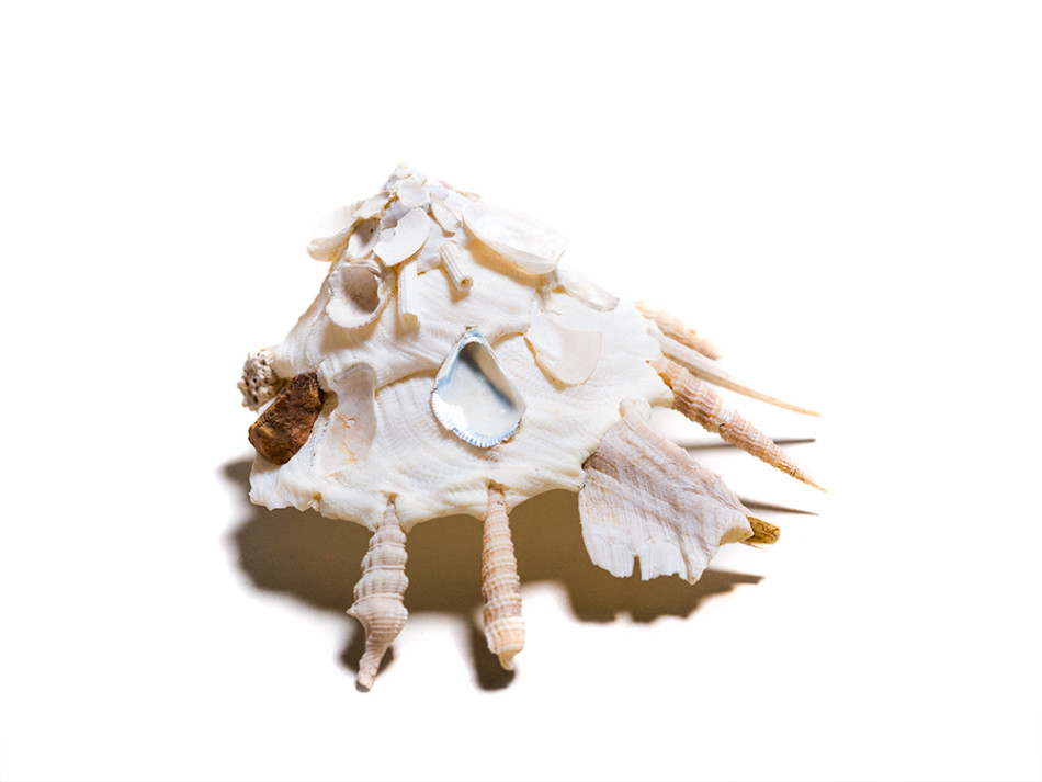 Ϊݣȿ񺣾ոһļ̵УҲ׺һڱճһ߰ĶǡɰʯЩ԰αװԼ