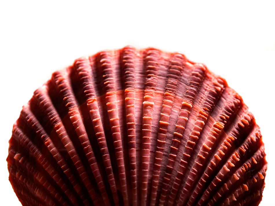 ձɼĻοȱŵʱȱԷǳ̬Ӿ⣬ǻʮ۾ڱǿڸ֯ϡ