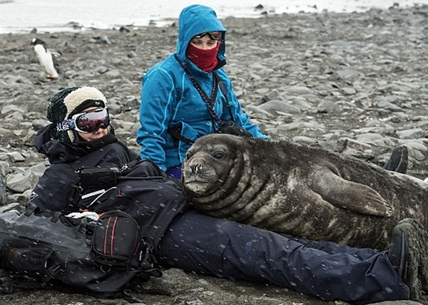 �������ͬ�µǵ������ڼ䣬�󺣱�ͻȻ�������������Ϣ