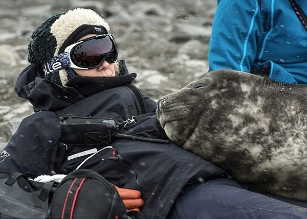 �󺣱��������������������ͷ����