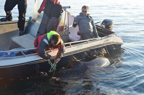 �ǲ������ɵ������������Э�������ϴ���