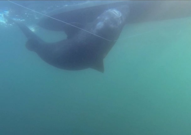 �ø�����������������200��