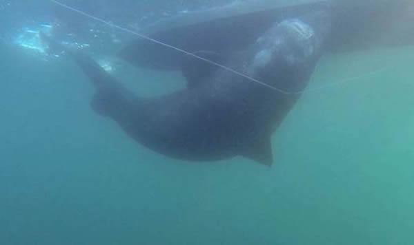 �������һ�͵���565������� ˢ�������¼