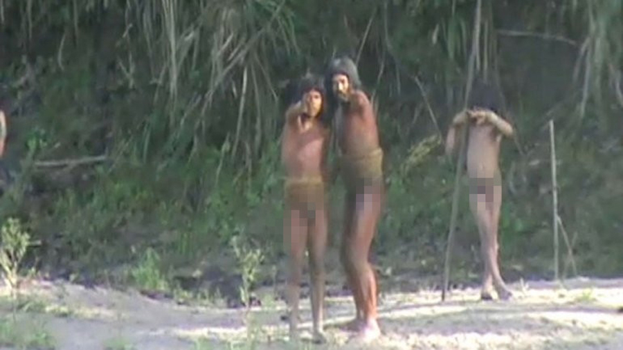 秘鲁亚马逊森林部落200名土著闯入附近村庄抢走村民的炊具和家畜