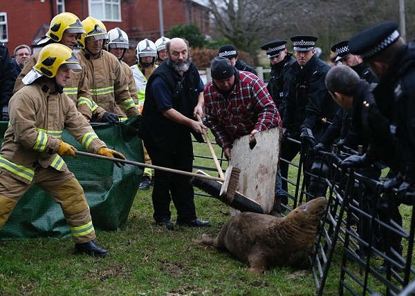 ��Ԯ��Ա����ɨ�㣬���԰Ѻ������ϳ���