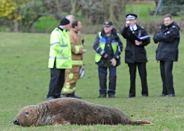 ��Ԯ��Ա�뾯Ա������ΰѺ������ߡ�