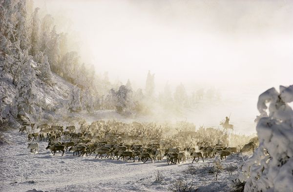 1970�����һȺѱ¹��Խ��ѩ���ǵ��������ǹȵء�