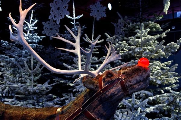 ��ֻ�ٵ�ѱ¹�����ɺ����ѱ¹³�����ģ�������ǵ���籾�����ḥ������԰�ڵ�Ү������֮һ��