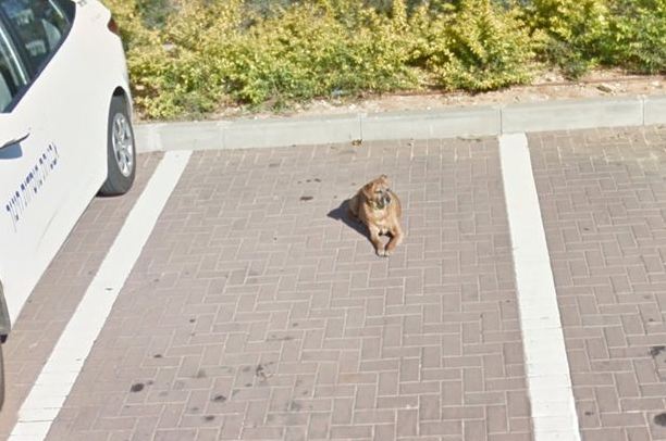 �����ӽ־������ְ�Ȯ