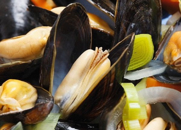 海洋变酸,令青口壳变得脆弱。