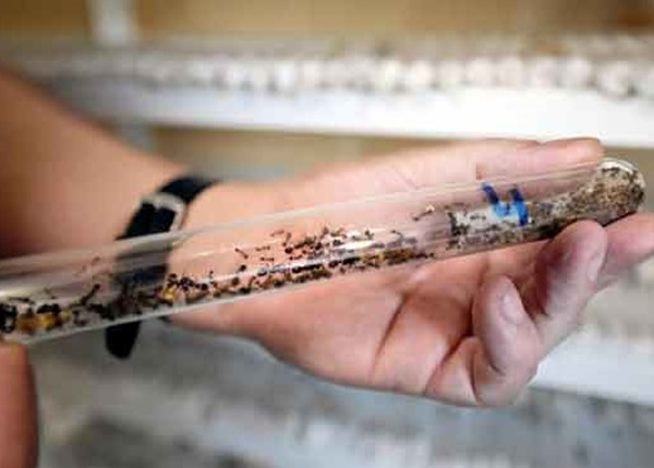 �о�����ŷ��ʯ����ƫ�������У�����Ϊ���ڼ����������