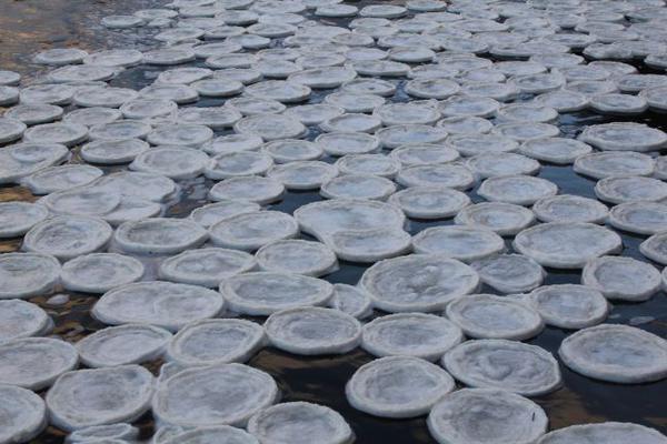 �ո��������ϵ����ء���Ҷ��������