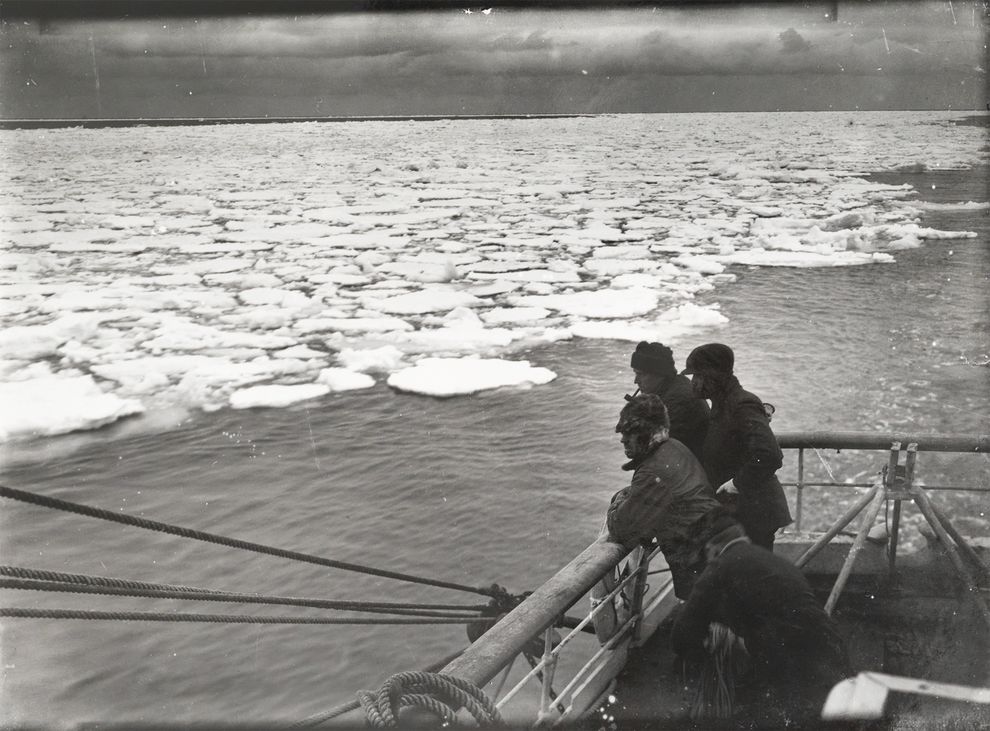 1910��12�£��޲���・ʷ�����ʶ�ǰ���ϼ�̽��ʱ����Ա��Terra Nova �ŵļװ��Ͽ��ź�Ҷ������Ӱ��Herbert G. Ponting