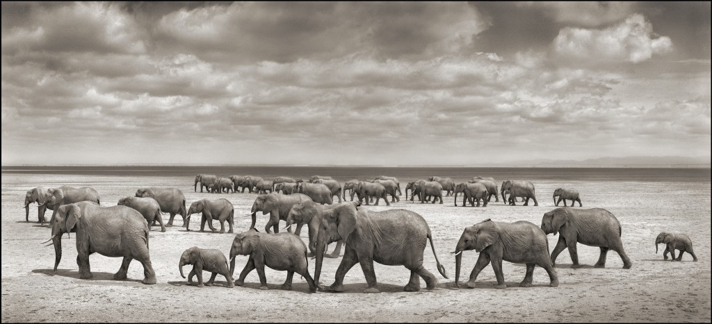 ��Ⱥͨ�����ǰ����������ҹ�԰�ڵ�һ������������ļ�����Ⱥδ���⵽��ɱ��