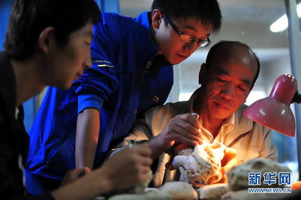 陈善勤正在传授化石修复技巧