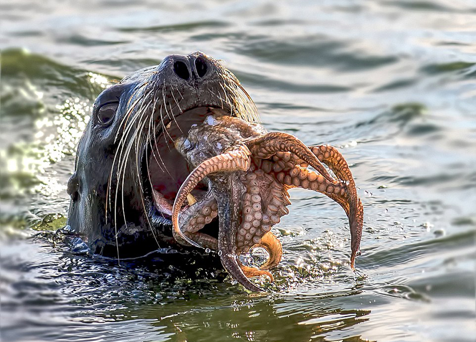 ������ͼ�̳�������龰����ɧ����