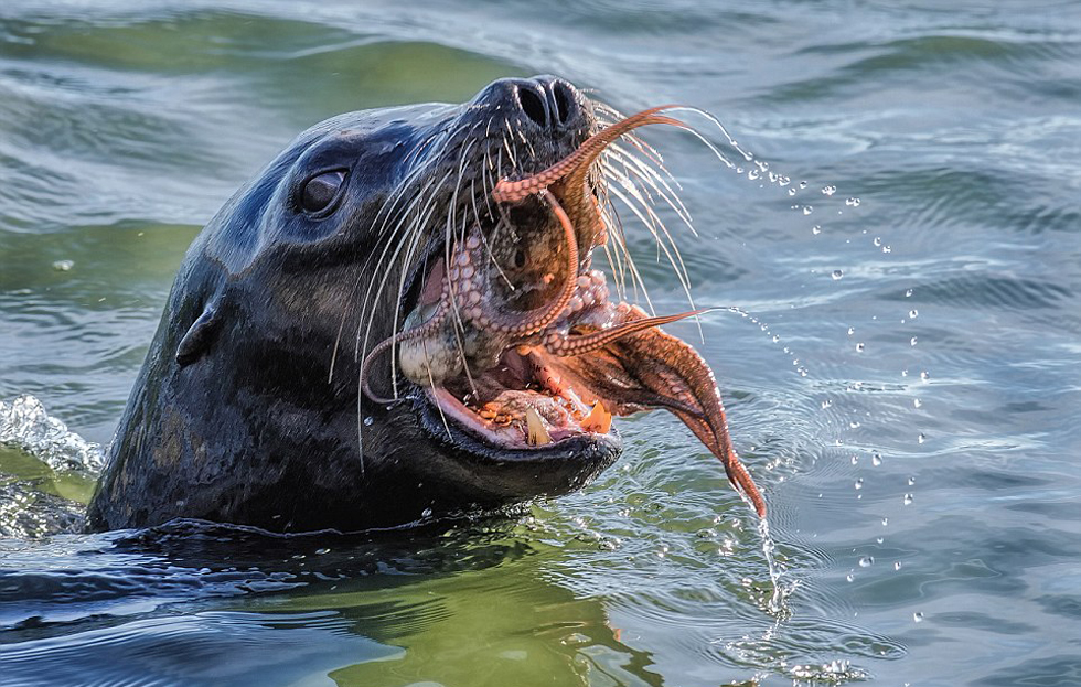 �������ս������̵���