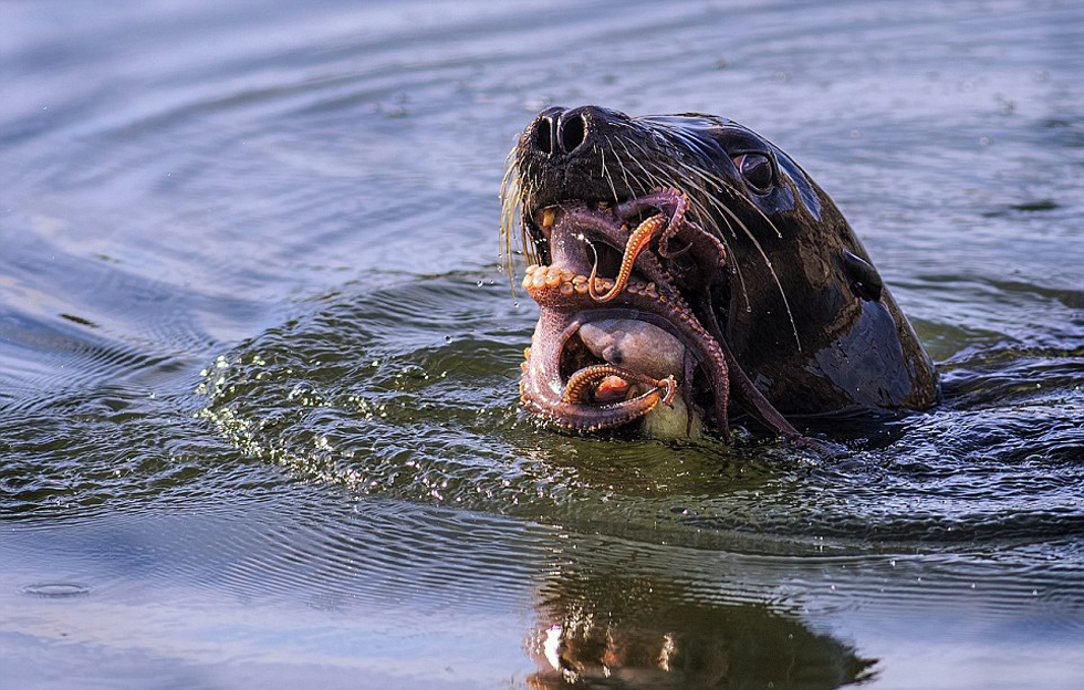 ��Ӱʦ˵�ܹ���֤�ⳡ�Ƿ���ˮ�ϴ�ս�ǳ����ҡ�