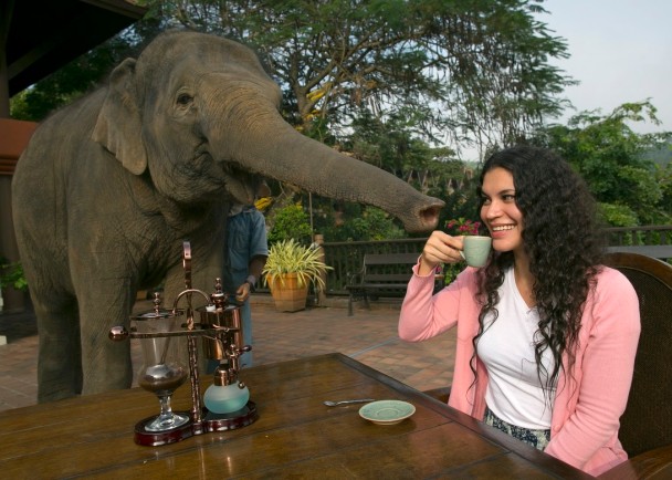 ��̩���Ķȼٴ壬�ȿɹۿ��������Ʒ����ʺ���ȡ�(Getty Images)