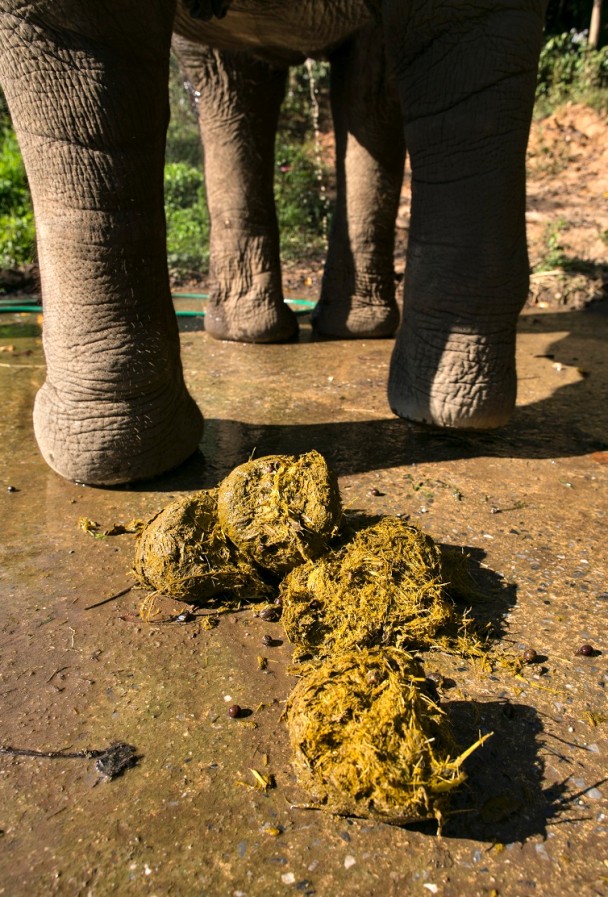 ���ȶ�ͨ�����ﳦθ�󣬵����ʻᾭ�����طֽ⣬���Ϳ�ζ��(Getty Images)