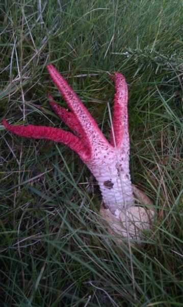 ĿҰҲطģϡоࡸħָ