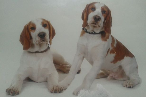 ����(��)�뺺��ķ(��)����Ҫ�á�