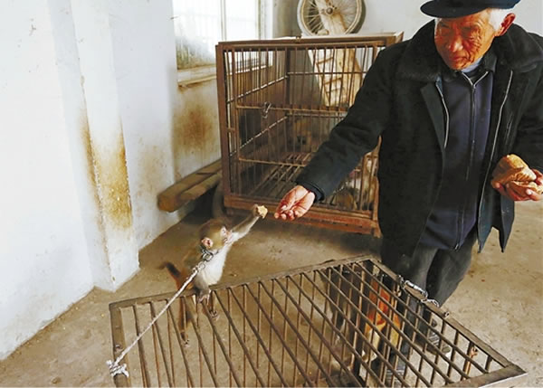 食物诱训,是老齐常用的方法。