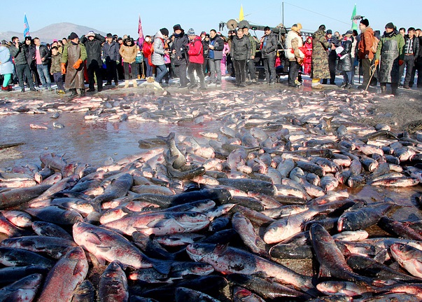 ���ն���������ᣬ�����ϲ����˴��̶����ķ������