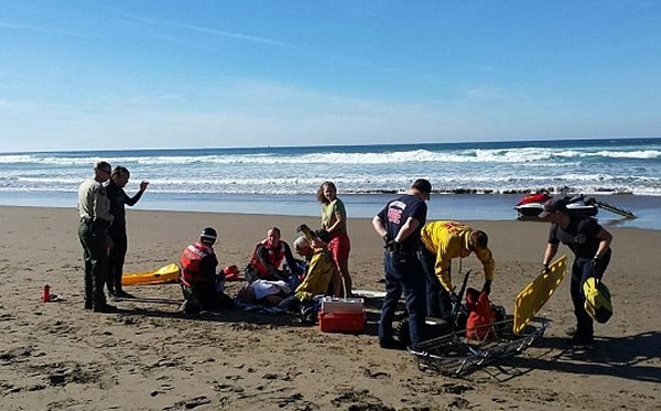 ˹��ɭ�ϰ����Ƚ��ܳ���������