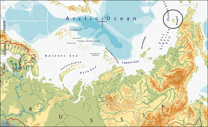 科学家在极地寻菇被2亿年蛇颈龙头骨化石绊倒