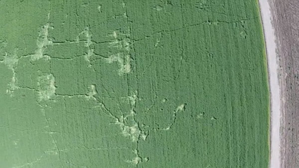 ��ī���������罻ý����Ц�ƣ������˿��ܺ����ˣ���Ϊ��Щ�����Ȧ����״��������