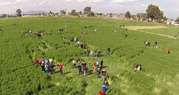 �޴�������Ȧռ��7���꣬����ǧ��ǰ���ۿ���