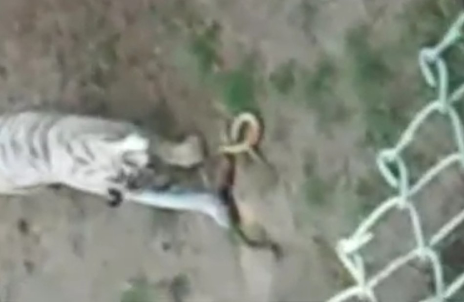 صĵ򱨵ʱ20141227գӡӡӡ԰һͷİ׻۾߷׻۾ҧ۾ˡ